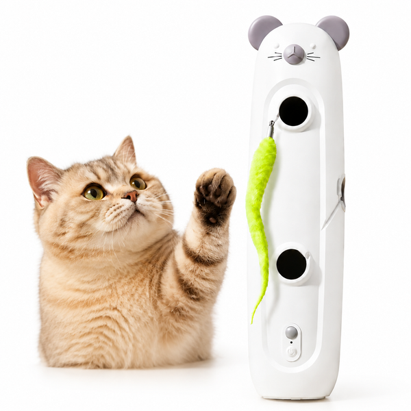 Cat reaching toward an interactive toy with a green feather attachment on a white background