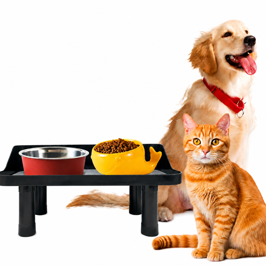 Dog and orange cat beside a raised feeder with food and water bowls on a white background
