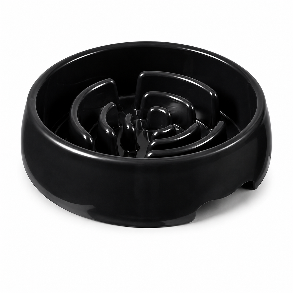 Glossy black maze slow feeder dog bowl on a white background