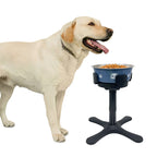 Yellow lab beside blue stainless steel bowl on black adjustable raised stand