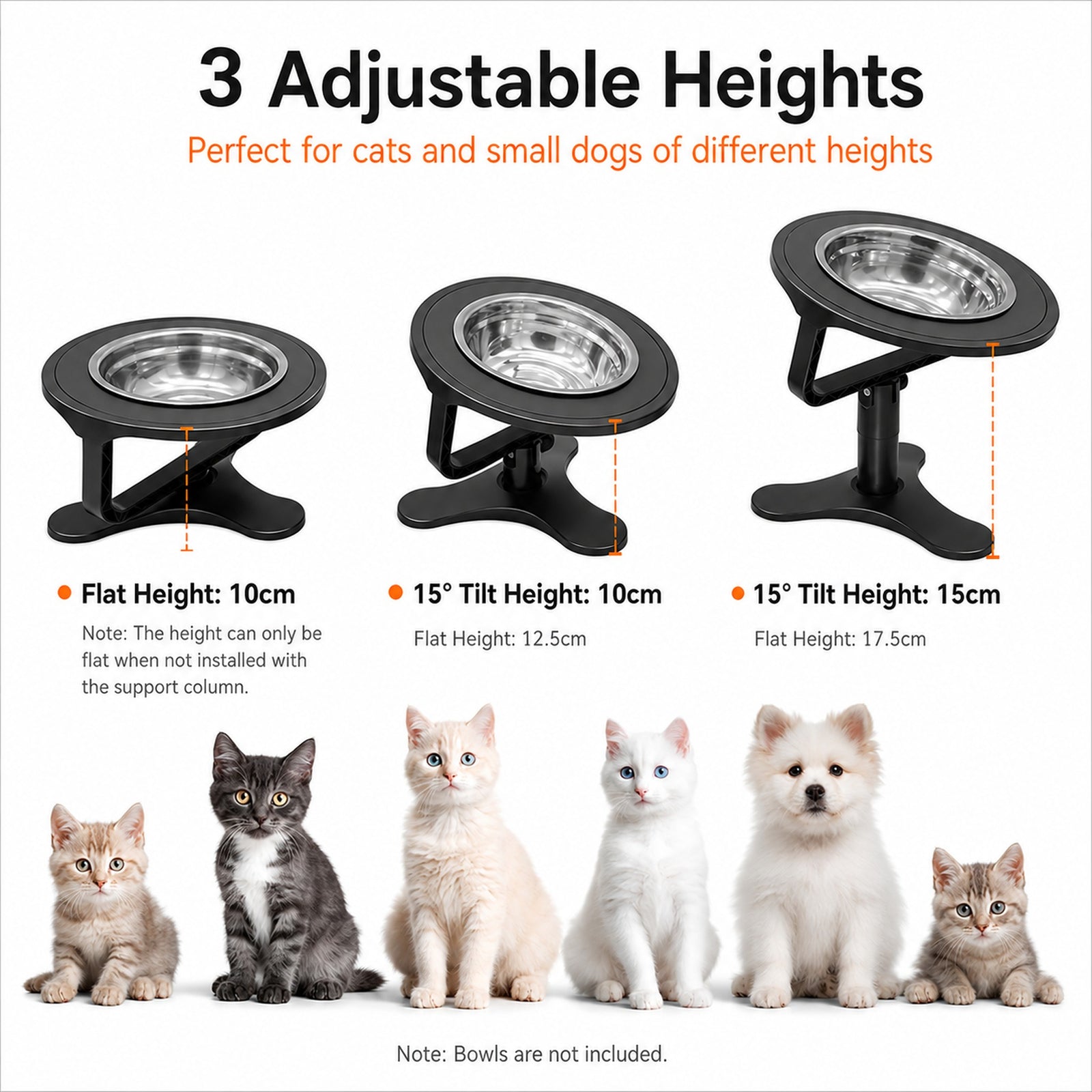 Three height settings for black tilted pet bowl stand shown above cats and a small dog