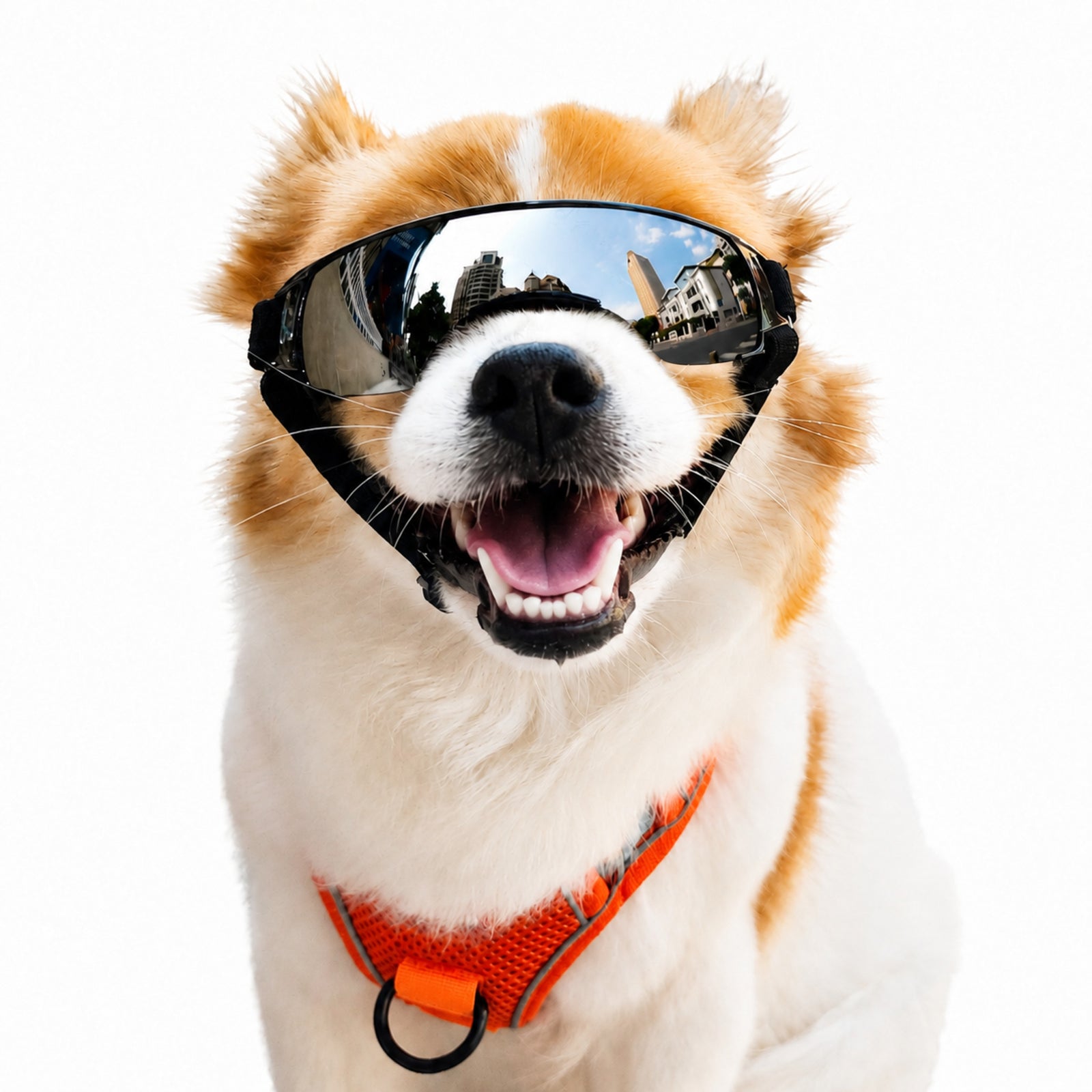 Dog wearing mirrored black goggles and orange harness on a white background