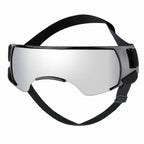Silver dog goggles with black adjustable strap shown from the front