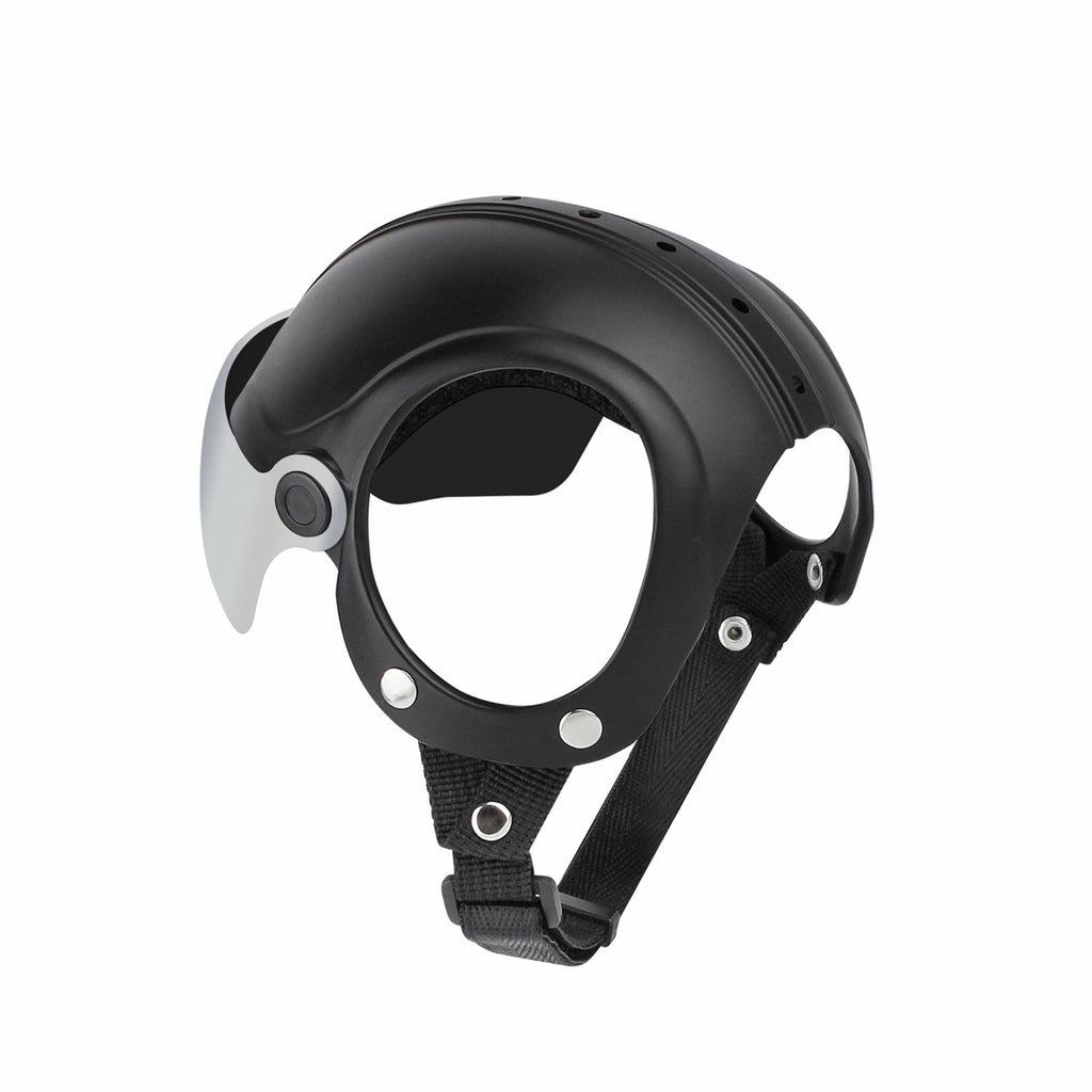 Close-up of Lyypet dog helmet showing black shell, visor mount, and adjustable strap