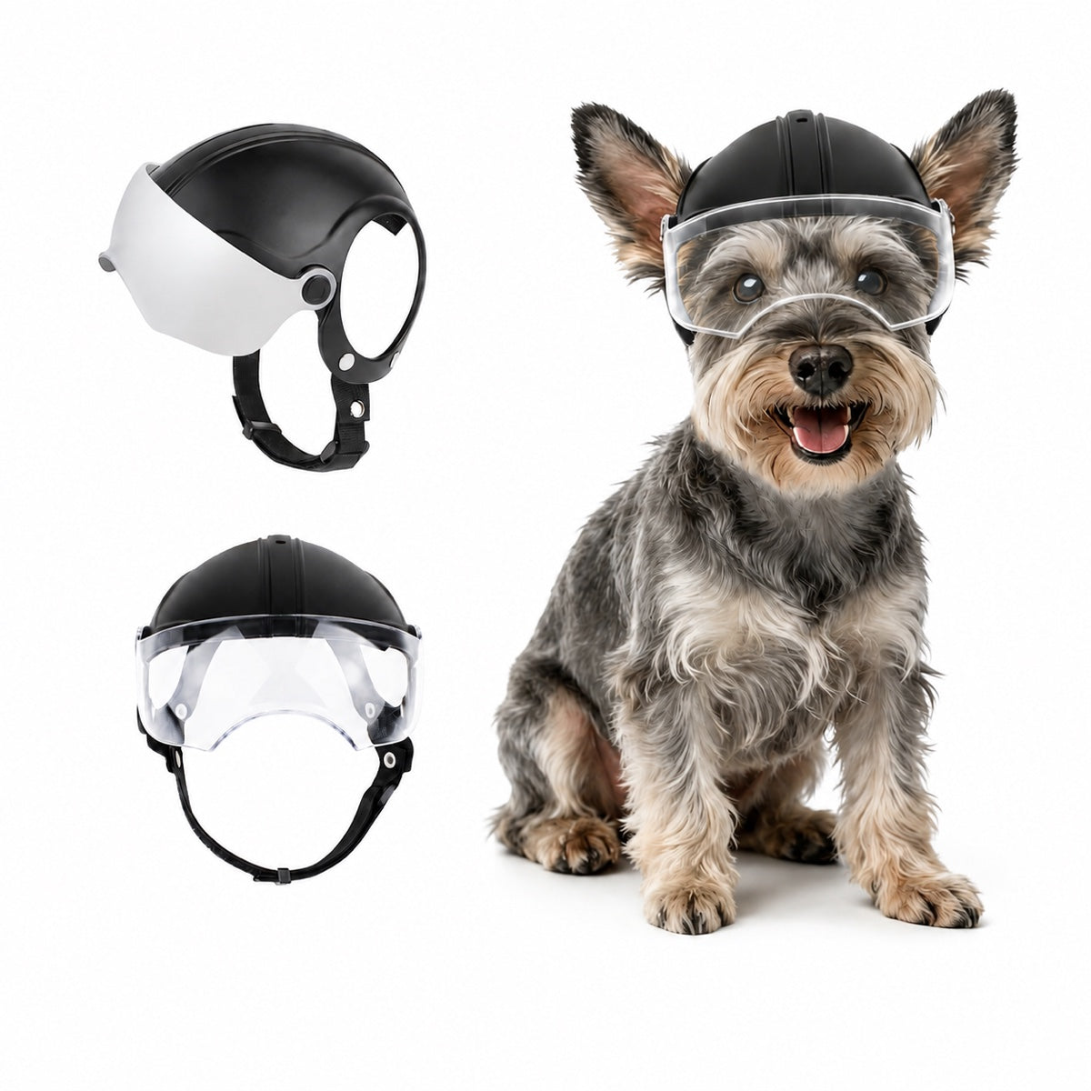 Small dog wearing Lyypet protective dog helmet with visor on a white background