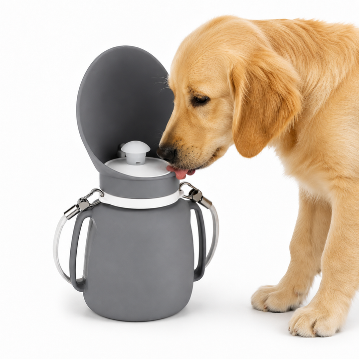 Golden retriever puppy drinking from a gray dog water bottle with an open built-in bowl on a white background