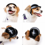 Four-panel collage of small dog wearing glossy black pet safety helmet