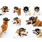 Collage of dogs wearing black pet safety helmets and goggles from multiple angles