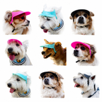 Lyypet pet sun visor hats shown on small dogs in multiple color and angle views