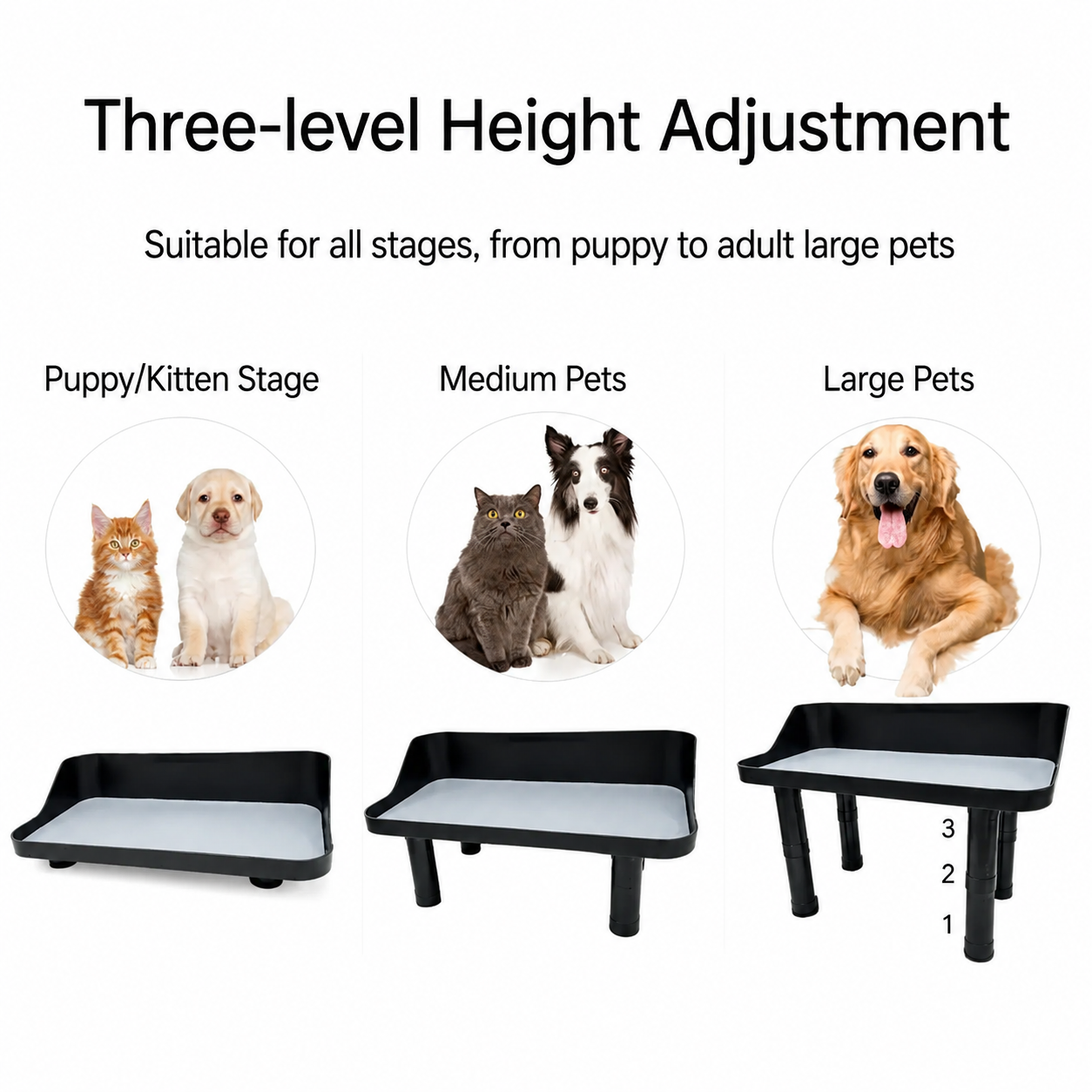 Three-level height adjustment chart showing a black raised feeder stand for kitten, medium pet, and large dog stages
