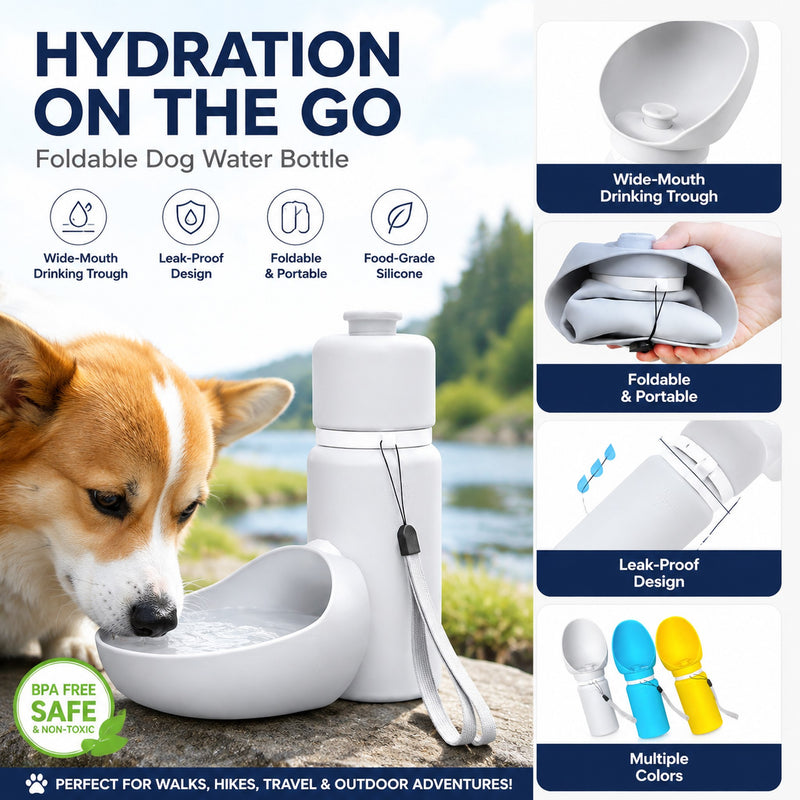 Outdoor hydration infographic showing dog drinking from white foldable water bottle